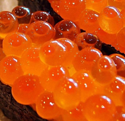 В Петербурге упал спрос и цены на икру