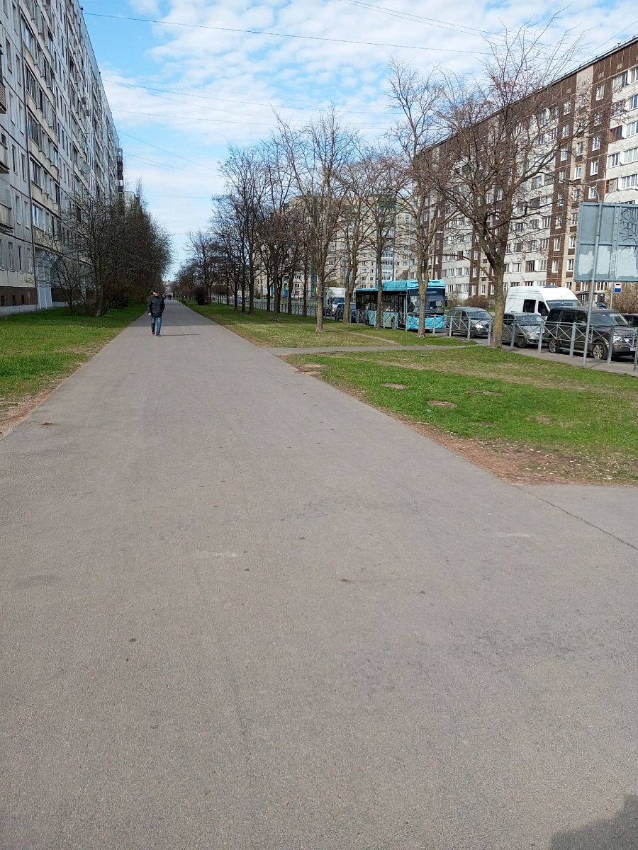 Северный ветер принёс в Петербург временное похолодание