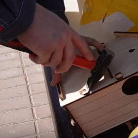 На острове Чухонка прошла реновация беличьего городка