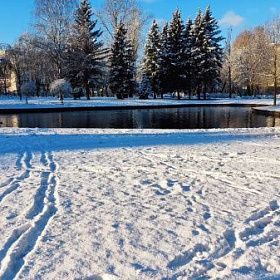 Водителей и пешеходов Петербурга предупредили об ухудшении видимости из-за сильного тумана