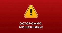 Мошенники в Петербурге используют уловки с детским питанием: как не стать жертвой