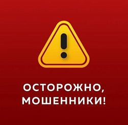 Мошенники в Петербурге используют уловки с детским питанием: как не стать жертвой Мошенники в Петербурге используют уловки с детским питанием: как не стать жертвой