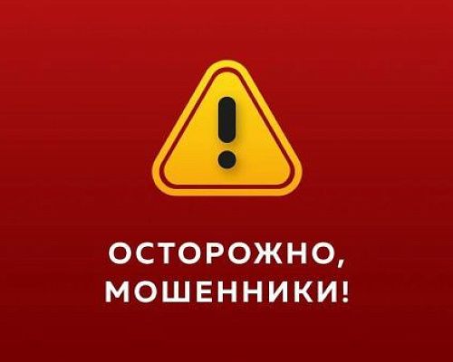 Мошенники в Петербурге используют уловки с детским питанием: как не стать жертвой