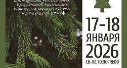 Петербуржцы смогут правильно утилизировать новогодние деревья Петербуржцы смогут правильно утилизировать новогодние деревья