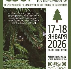 Петербуржцы смогут правильно утилизировать новогодние деревья