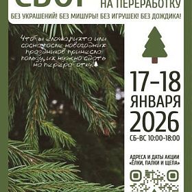 Петербуржцы смогут правильно утилизировать новогодние деревья