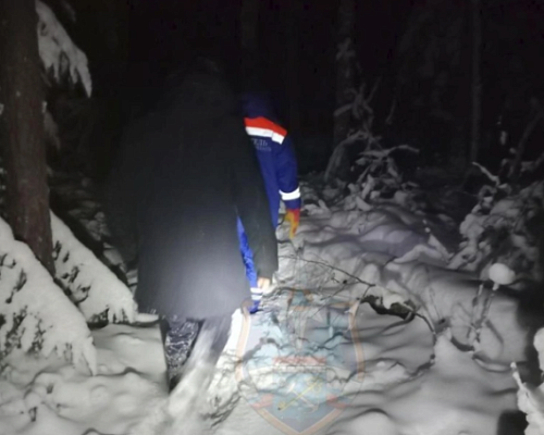 Спасатели вывели заблудившегося в лесу мужчину в Ленобласти