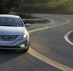 Hyundai зарегистрировал 36 товарных знаков в России с ноября по декабрь