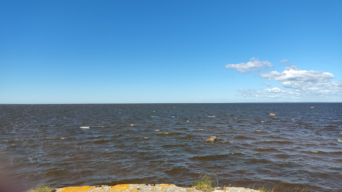 На развязке КЗС и Кронштадтского шоссе вводят реверсивное движение