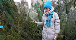 Цены на живые ёлки в Петербурге выросли до 5 тыс. рублей