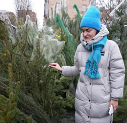 Цены на живые ёлки в Петербурге выросли до 5 тыс. рублей