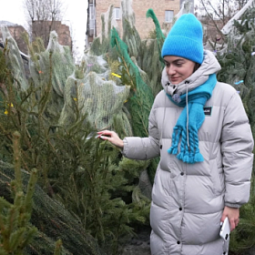 Цены на живые ёлки в Петербурге выросли до 5 тыс. рублей