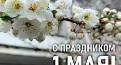Александр Беглов поздравил петербуржцев с Днём Весны и Труда
