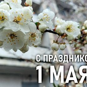 Александр Беглов поздравил петербуржцев с Днём Весны и Труда