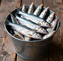 В Петербурге сезон корюшки продлится с 15 апреля по 31 мая В Петербурге сезон корюшки продлится с 15 апреля по 31 мая