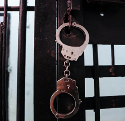 Полкило запрещённых растений привели жителя Шушар в СИЗО Юлия Шпомер