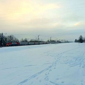 Сегодняшний день в Петербурге станет самым тёплым с начала года