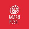 Белая роза