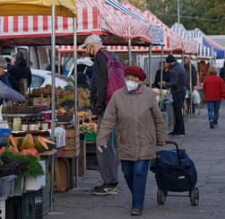 В Петербурге 32 земельных участка освободили от точек нелегальной торговли