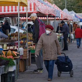 В Петербурге 32 земельных участка освободили от точек нелегальной торговли