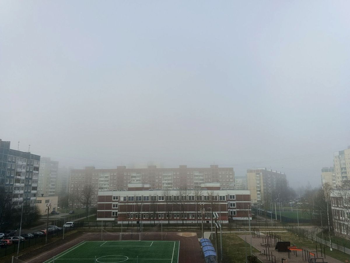 Антициклон с запада принес в Петербург туман