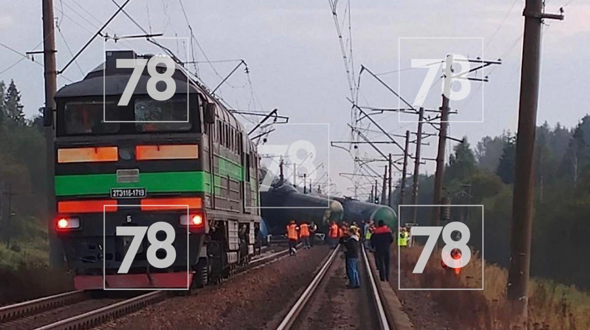 Из-за сошедшего поезда в Ленобласти отменены семь электричек