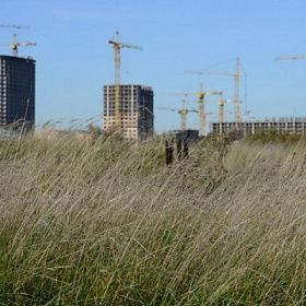 В Ленобласти снова начнут строить высотки в проектах КРТ