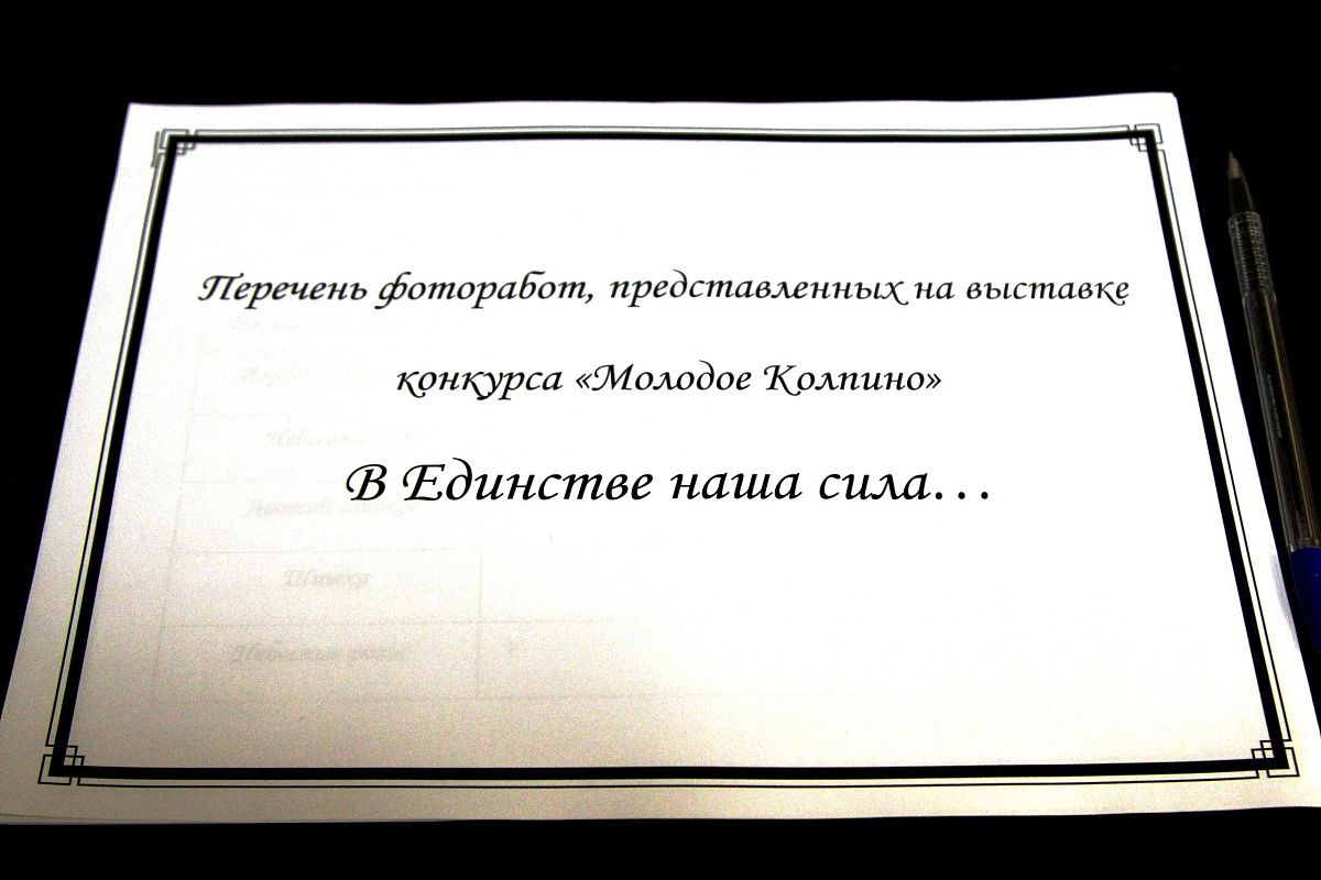 Фотоконкурс "В единстве наша сила"