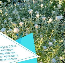 С 1 августа 2026г. налоговые уведомления начнут приходить автоматически 