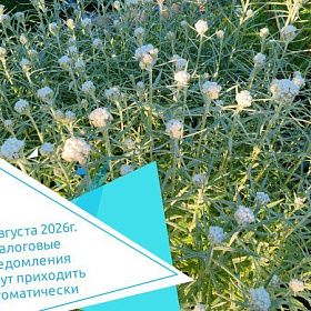 С 1 августа 2026г. налоговые уведомления начнут приходить автоматически 