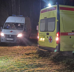 В Карелии упал военный самолёт