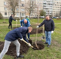  «Добрый субботник» день благоустройства в Колпинском районе