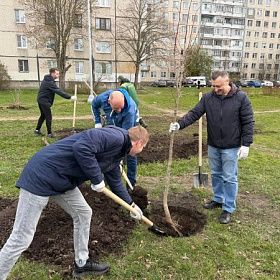  «Добрый субботник» день благоустройства в Колпинском районе