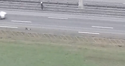 В Петербурге полиция ловит группу детей, устроивших игру «на выживание» на ЗСД