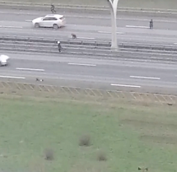 В Петербурге полиция ловит группу детей, устроивших игру «на выживание» на ЗСД