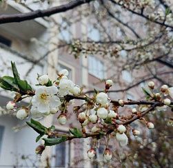 Петербуржцам предсказали улучшение погоды во второй половине недели