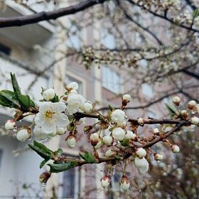 Петербуржцам предсказали улучшение погоды во второй половине недели