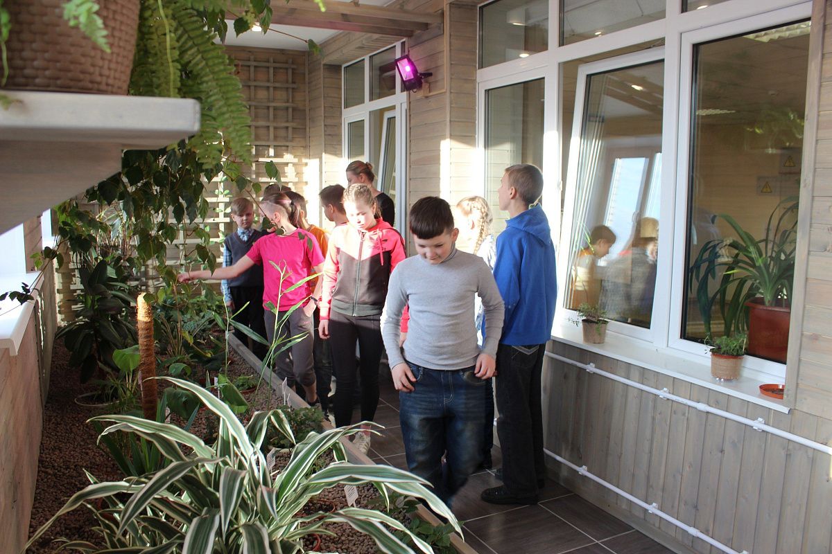 Экологическая игра "В защиту родной природы"