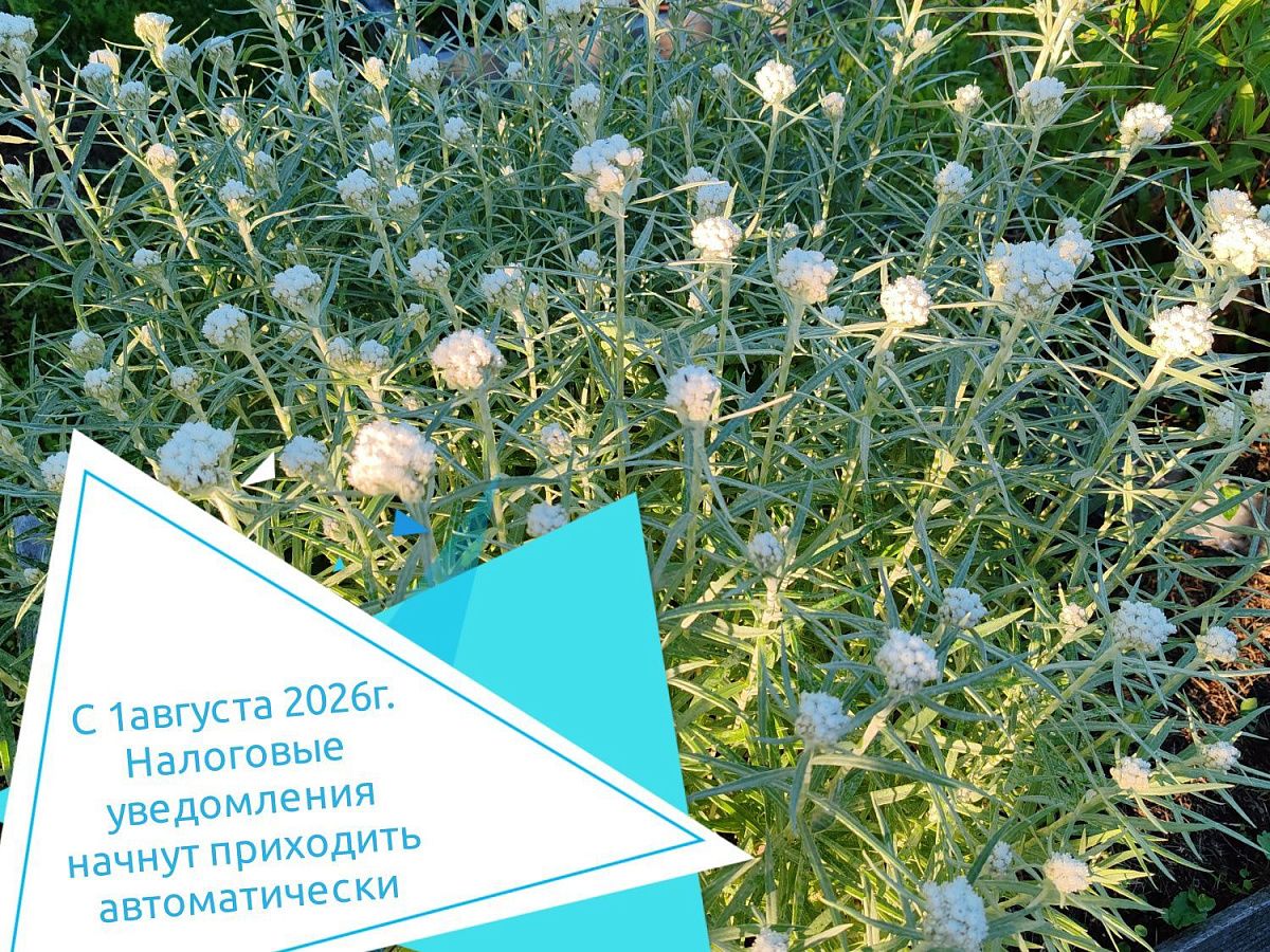 С 1 августа 2026г. налоговые уведомления начнут приходить автоматически 