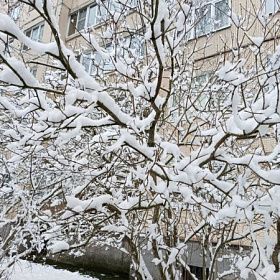 Мокрый снег и плюсовая температура ожидаются в Петербурге во вторник