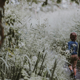 Инструкция для ребенка: что делать, если потерялся в лесу