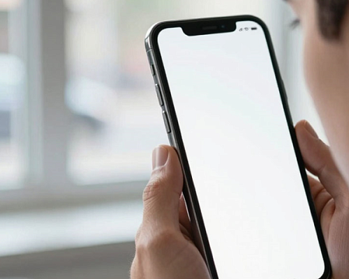 В Колпино задержали «дропа», похитившего у пенсионера 1,15 млн рублей