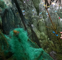 Около 70 ёлочных базаров начнут работать в Петербурге с 20 декабря