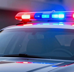 Движение по трассе М-11 в Ленобласти осложнено из-за столкновения грузовиков