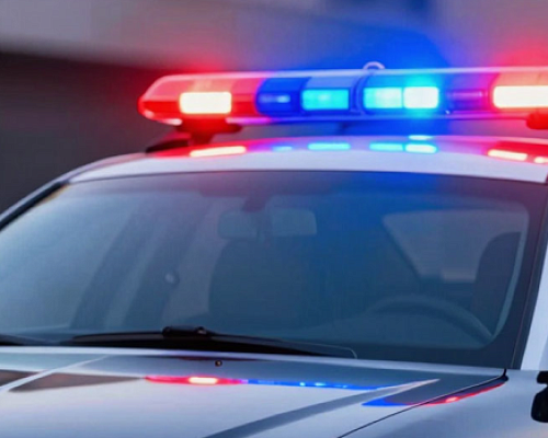 Движение по трассе М-11 в Ленобласти осложнено из-за столкновения грузовиков