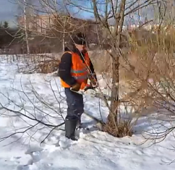 В Металлострое прошла «зелёная» перезагрузка