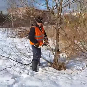 В Металлострое прошла «зелёная» перезагрузка