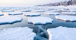 Четверо рыбаков оказались заблокированными на льдине в Финском заливе