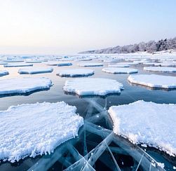 Четверо рыбаков оказались заблокированными на льдине в Финском заливе