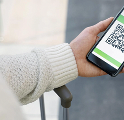 В Петербурге для иностранцев введут QR-коды